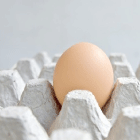 sarah_A-Z_oestrogeen